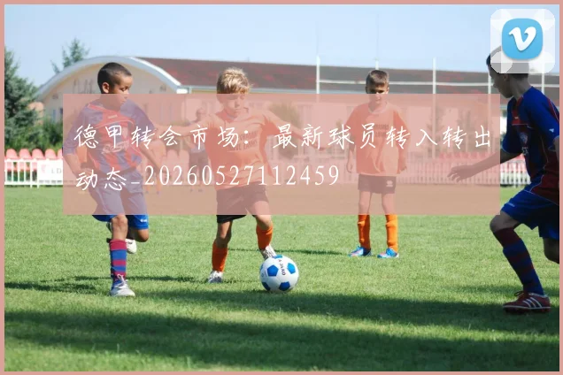 德甲转会市场：最新球员转入转出动态_20260527112459